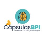 Talleres y Conferencias en Prevención de Riesgos Psicosociales (Cápsulas BPI)