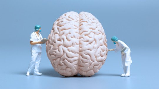 Factores que influyen en la plasticidad cerebral: claves para potenciar la neuroplasticidad del cerebro