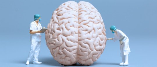 Factores que influyen en la plasticidad cerebral: claves para potenciar la neuroplasticidad del cerebro
