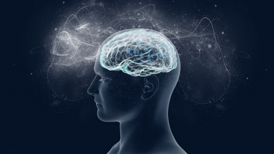 Másters en Neuropsicología