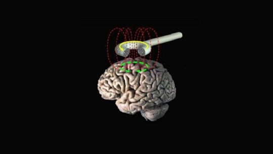 EMT para las adicciones: una alternativa terapéutica basada en la neurociencia