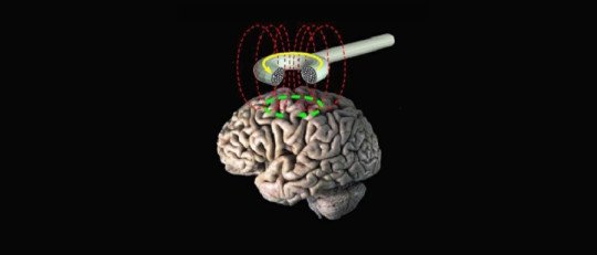 EMT para las adicciones: una alternativa terapéutica basada en la neurociencia