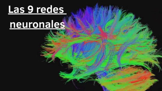 Las 9 principales Redes Neuronales del cerebro humano