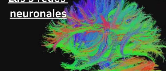 Las 9 principales Redes Neuronales del cerebro humano