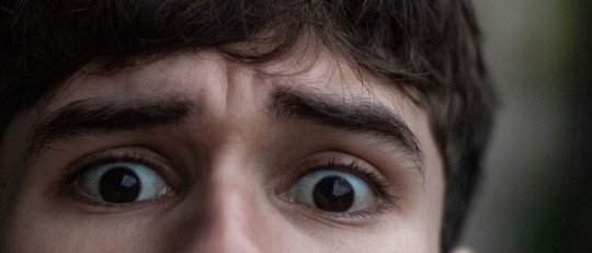Neuroplasticidad y Autogestión: ¿Es posible reprogramar nuestra respuesta al miedo?