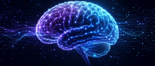Tipos de meningitis