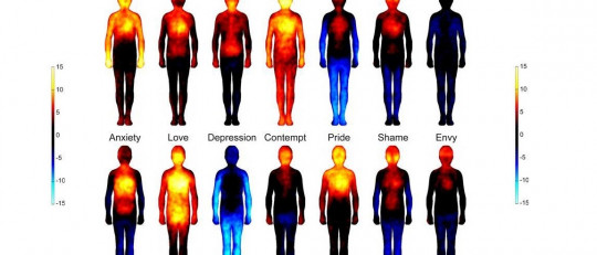 Descubre el mapa corporal de las emociones