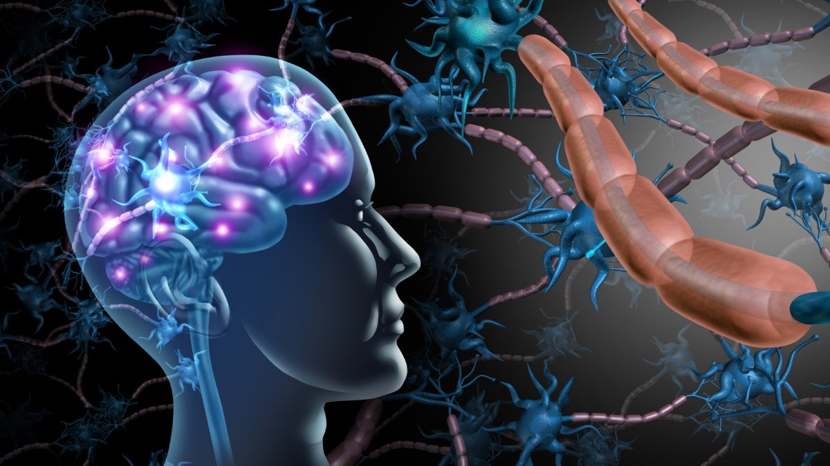 Tiroides, depresión y ansiedad: cómo influye el eje cerebro-tiroides