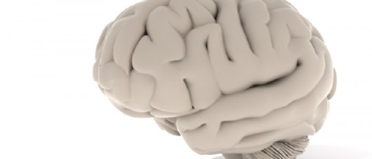 Cerebro