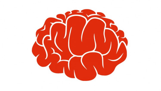 Preguntas sobre neurociencias