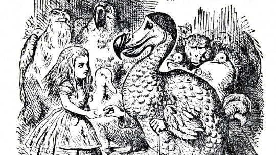 Veredicto del dodo