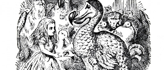 Veredicto del dodo