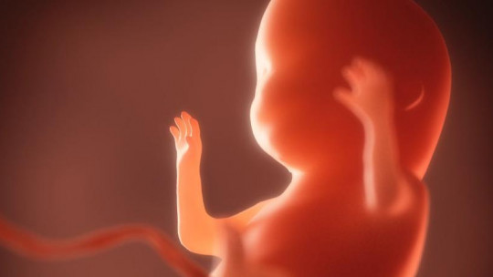 Síndrome de alcoholismo fetal