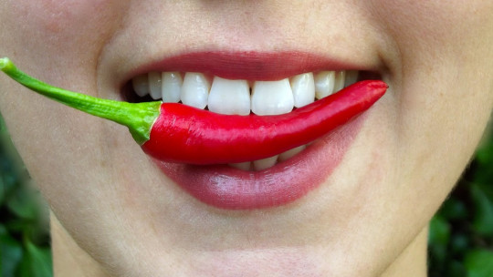 Sentido del gusto