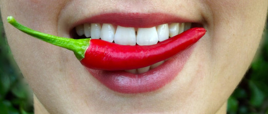 Sentido del gusto