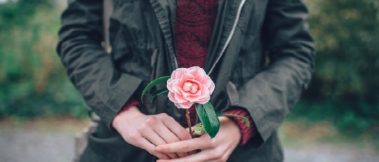 120 frases sobre el amor y el romanticismo (inolvidables)