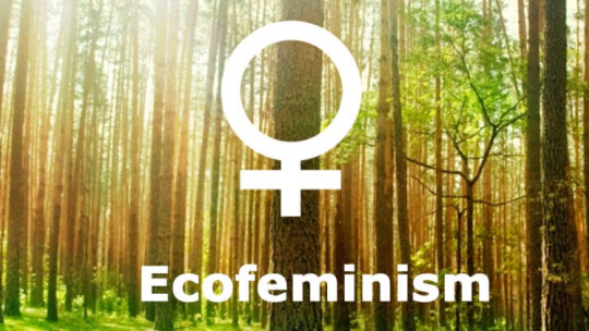 Ecofeminismo
