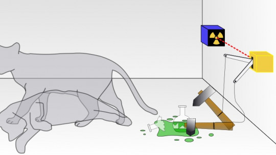 Experimentos mentales