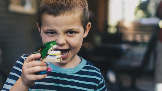 Diferencias entre autismo y Discapacidad Intelectual
