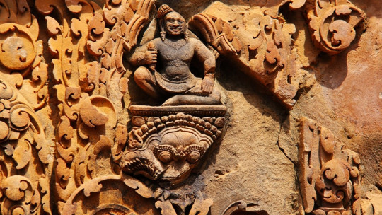 Ramas de la Antropología