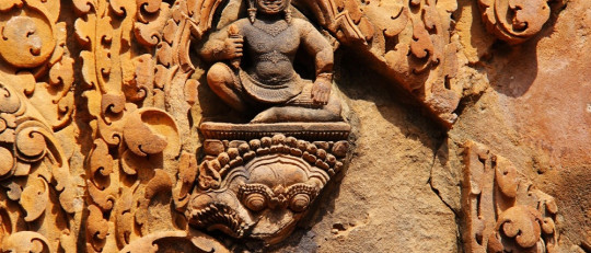 Ramas de la Antropología