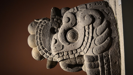 Antropología