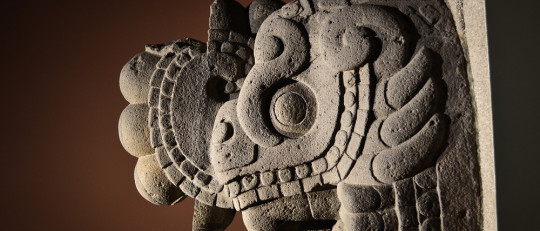 Antropología