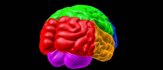 Psicología cognitiva: definición, teorías y autores principales