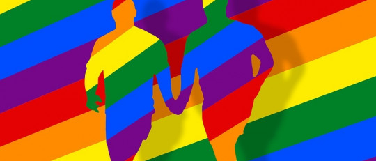 Causas de la homosexualidad