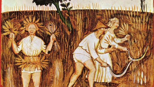 Feudalismo