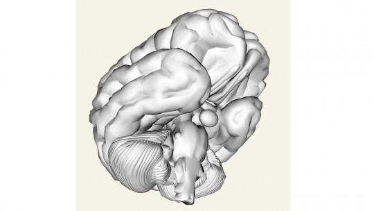 Cómo afecta el estrés al cerebro