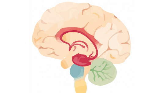 Síndrome orgánico cerebral