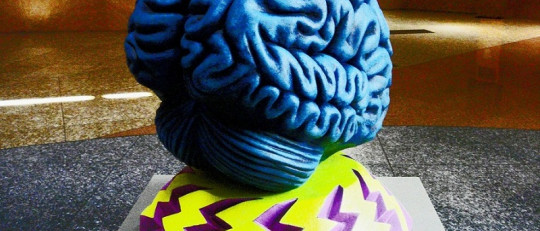 ¿Por qué estudiar Psicología? 10 puntos que debes valorar