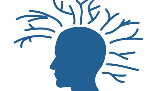 Habilidades cognitivas más importantes