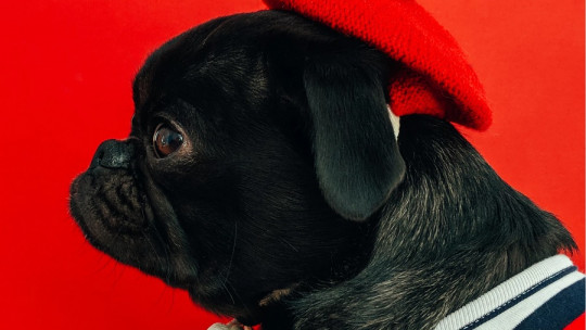 Qué significa el color rojo