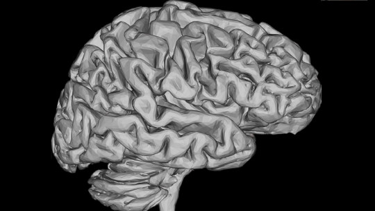 Cerebro creativo