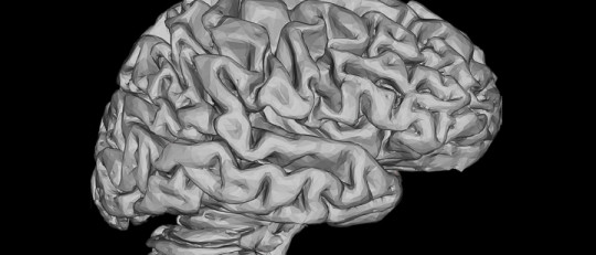 Cerebro creativo