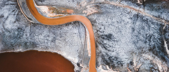 Consecuencias de la contaminación
