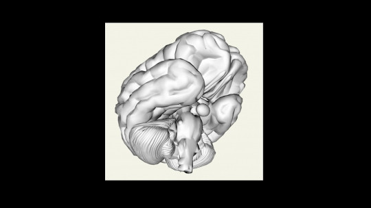 Teoría modular de la mente