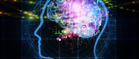 “Sólo usamos un 10% del cerebro”: ¿mito o realidad?