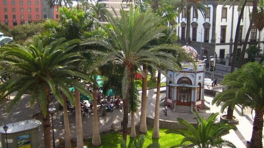 Psicólogos en las Palmas de Gran Canaria