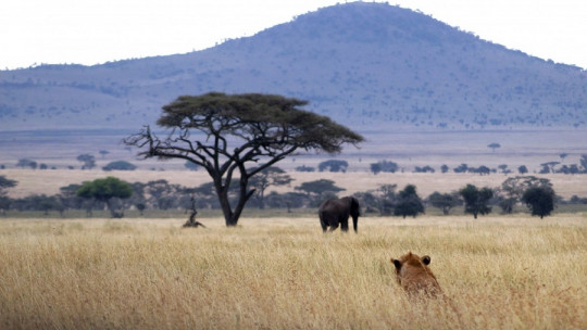 Leyendas africanas