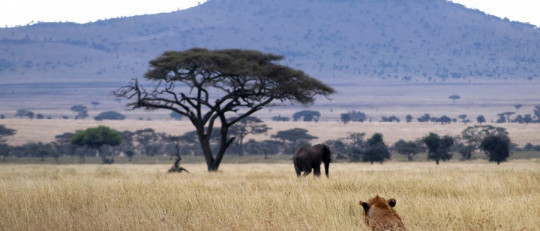 Leyendas africanas