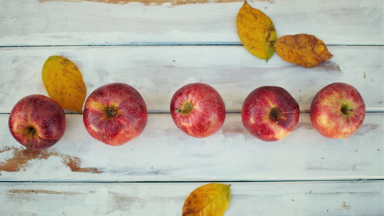 Alimentos para bajar el colesterol malo