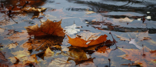 frases-lluvia