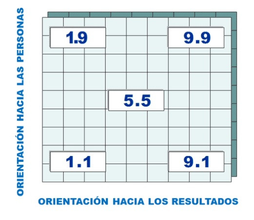 Malla gerencial