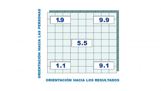 Malla gerencial