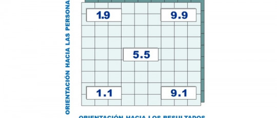 Malla gerencial