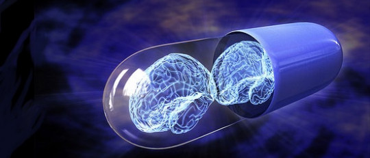 Nootrópicos: ¿qué son y cómo potencian tu inteligencia?