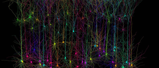 ¿Somos conscientes de todo lo que memorizamos?